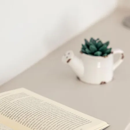 Windmillside Luxury * Emporio (Santorini)